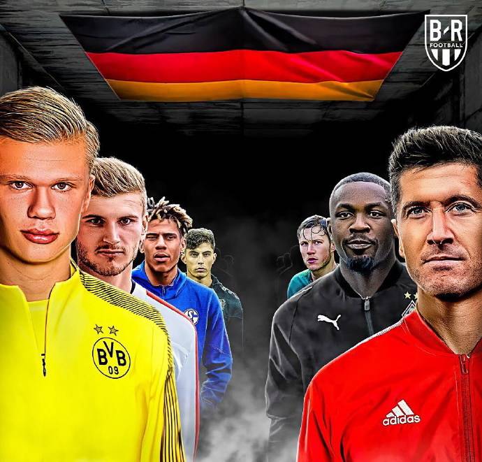 分生态联动 分生态联动